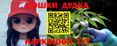 крисы Лесосибирск