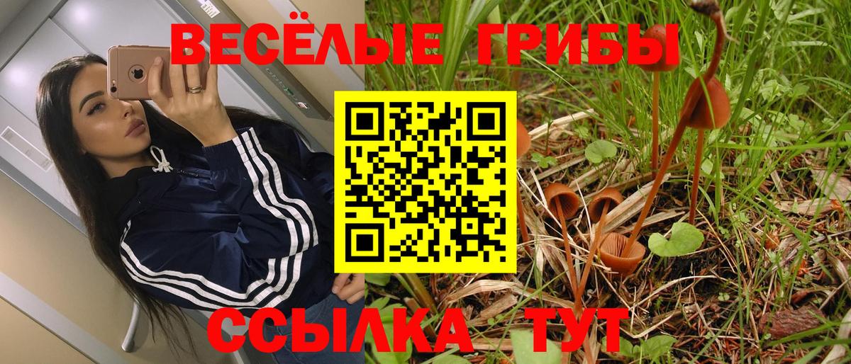 Галлюциногенные грибы прущие грибы Унеча